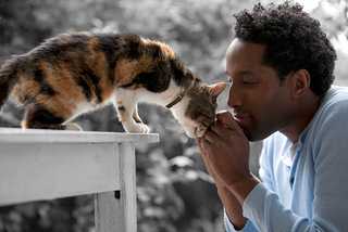 The Comprehensive Guide To Adopting A Pet Petfinder